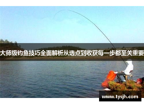 大师级钓鱼技巧全面解析从选点到收获每一步都至关重要